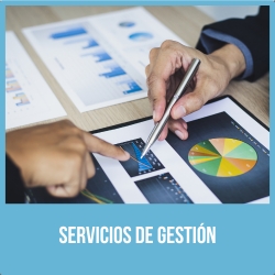 servicios de gestion